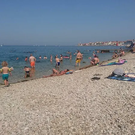 Studio 11 Piran